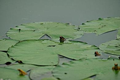 《疯狂的麦克斯》导演希望小岛能开发电影改编游戏